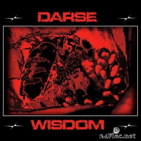 Darse - Wisdom (2020) Hi-Res