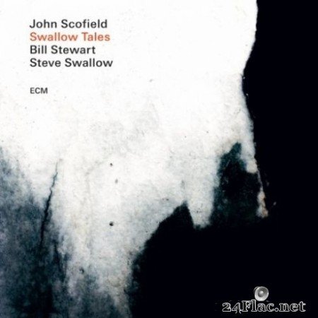 John Scofield, Steve Swallow & Bill Stewart - Swallow Tales (2020) Hi-Res