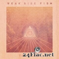 Weak Size Fish - The Drift (2020) FLAC
