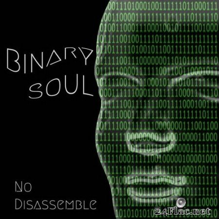 No Disassemble - Binary Soul (2020) Hi-Res