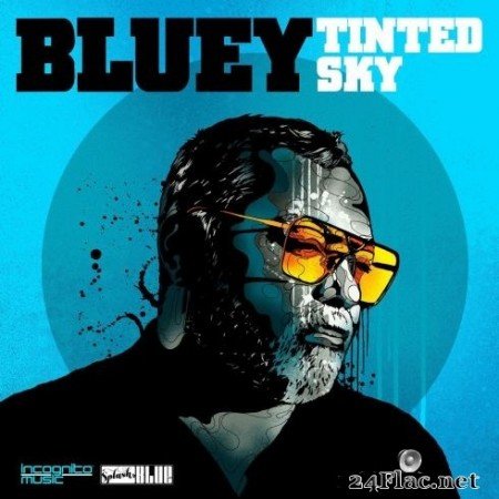 Bluey - Tinted Sky (2020) Hi-Res + FLAC