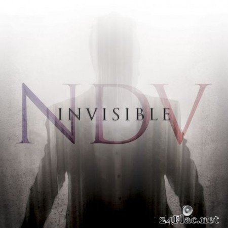 Nick D’Virgilio - Invisible (2020) FLAC
