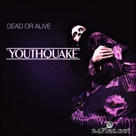 Dead or Alive - Youthquake (1985) (24bit Hi-Res) FLAC (image+.cue)