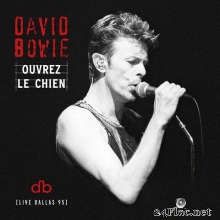 David Bowie - Ouvrez Le Chien (Live Dallas 95) (2020) FLAC