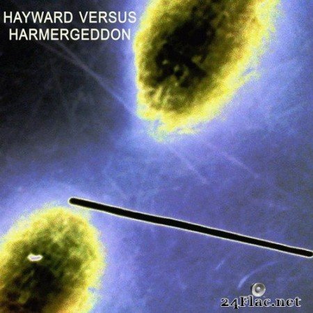 Charles Hayward - Hayward Versus Harmergeddon (2020) Hi-Res