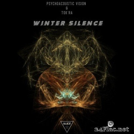 Psychoacoustic Vision - Winter Silence (2020) Hi-Res