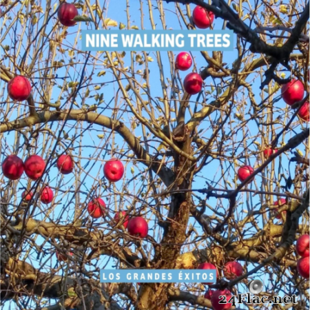 Nine Walking Trees - Los Grandes Exitos (2020) Hi-Res