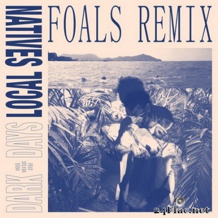 Local Natives, Sylvan Esso - Dark Days (Foals Remix) (Single) (2020) Hi-Res