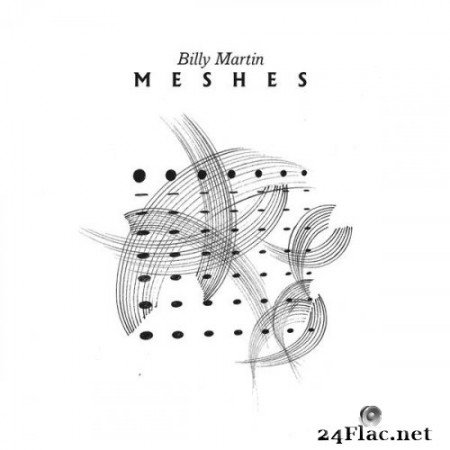 Billy Martin - Meshes (2020) Hi-Res