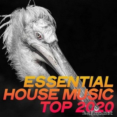 VA - Essential House Music Top 2020 (2020) Hi-Res