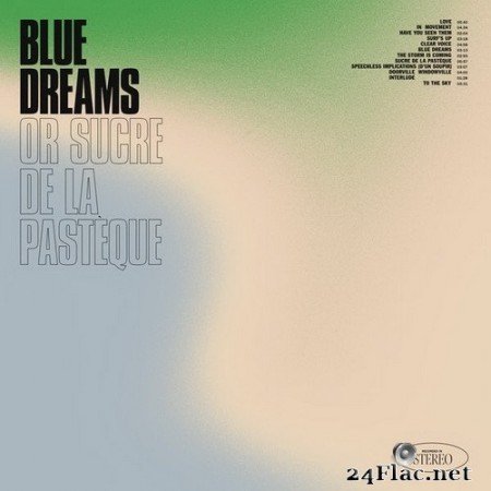 Psychic Markers - Blue Dreams, or Sucre De La Pastéque (2020) Hi-Res