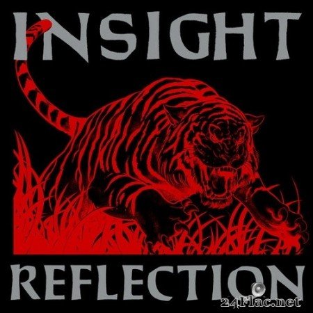 Insight - Reflection (2020) Hi-Res