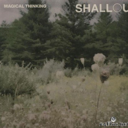 Shallou - Magical Thinking (2020) [FLAC (tracks)]
