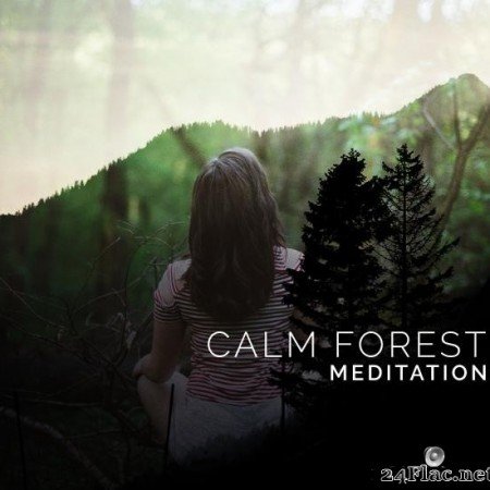 Forest - Calm Forest Meditation (2019) [FLAC (tracks)]