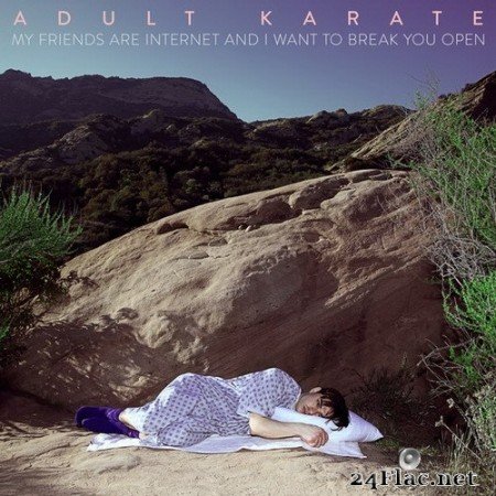 Adult Karate - My Friends Are Internet and I Want to Break You Open (2020) Hi-Res