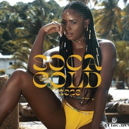 VA - Soca Gold 2020 (2020) [FLAC (tracks)]