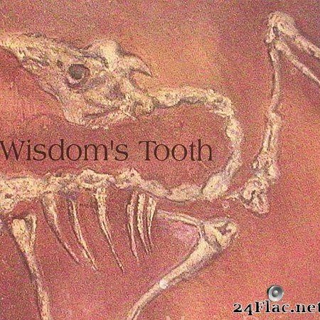 Maria Daines - Wisdom's Tooth (2007) [FLAC (tracks)]