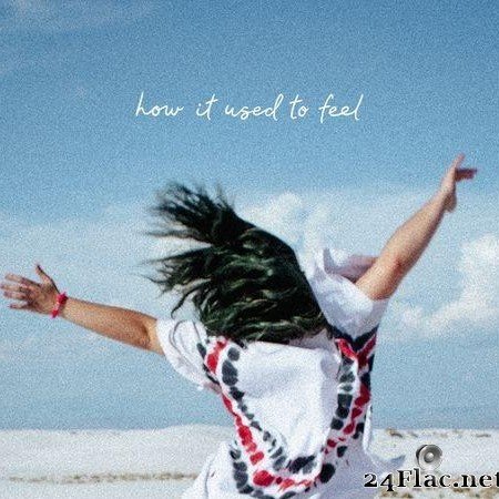 Phoebe Ryan - How it Used to Feel (2020) [FLAC (tracks)]