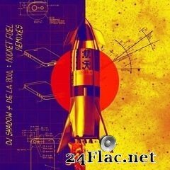 DJ Shadow - Rocket Fuel (Remixes) (2020) FLAC
