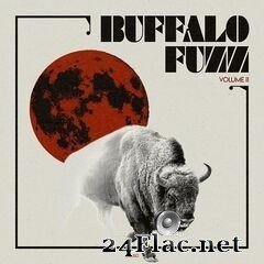 Buffalo Fuzz - Vol. II (2020) FLAC