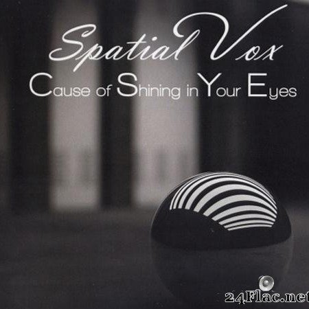 Spatial Vox - Cause Of Shining In Your Eyes (The 1'st Album) (2019) [FLAC (tracks + .cue)]