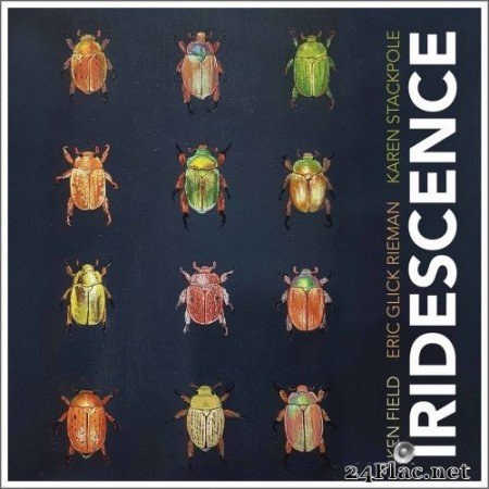 Ken Field - Iridescence (Live) (2020) Hi-Res