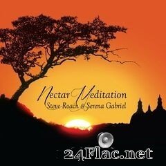 Steve Roach - Nectar Meditation (2020) FLAC