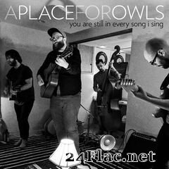 A Place for Owls - You Are Still in Every Song I Sing (2020) FLAC