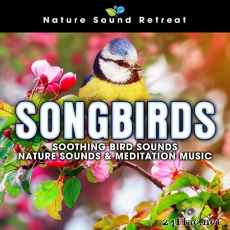Nature Sound Retreat - Songbirds: Soothing Bird Sounds - Nature Sounds & Meditation Music (2020) Hi-Res