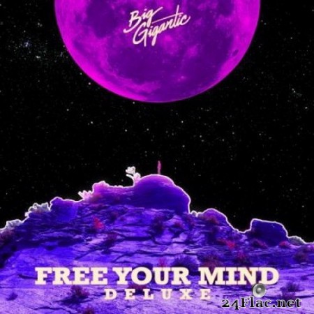 Big Gigantic - Free Your Mind (Deluxe Version) (2020) Hi-Res + FLAC