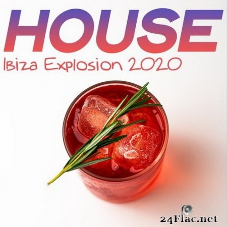 VA - House Ibiza Explosion 2020 (2020) Hi-Res