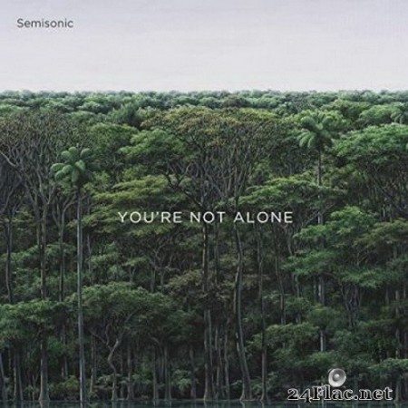 Semisonic - You’re Not Alone (EP) (2020) FLAC