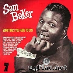 Sam Baker - Sometimes You Have to Cry (2020) FLAC