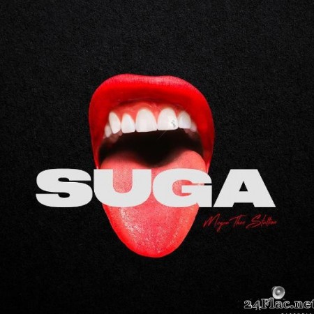 Megan Thee Stallion - Suga (2020) [FLAC (tracks)]
