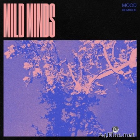 Mild Minds - MOOD (Remixes) (2020) Hi-Res