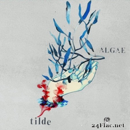 Tilde - Algae (2020) Hi-Res