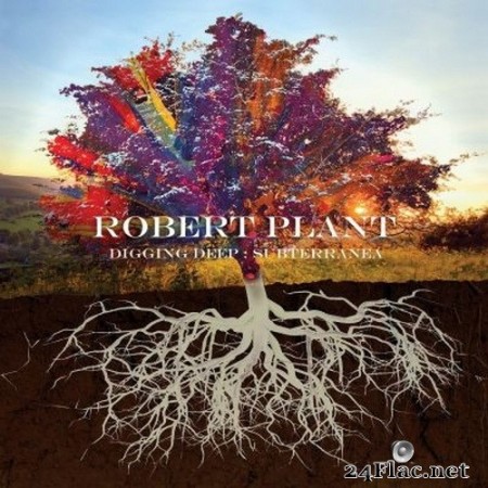 Robert Plant - Digging Deep: Subterranea (2020) FLAC