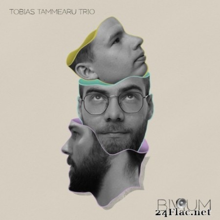 Tobias Tammearu Trio - Bivium (2020) Hi-Res
