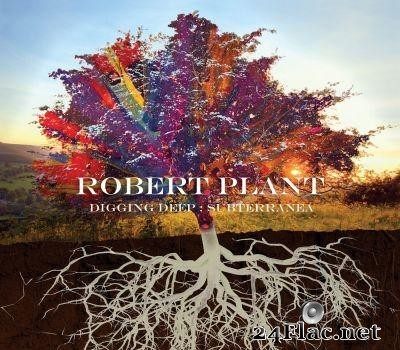 Robert Plant - Digging Deep: Subterranea (2020) [FLAC (tracks)]