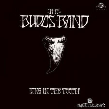 The Budos Band - Long in the Tooth (2020) FLAC