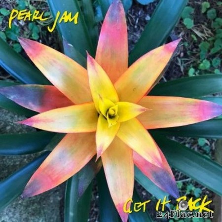Pearl Jam - Get It Back (Single) (2020) Hi-Res