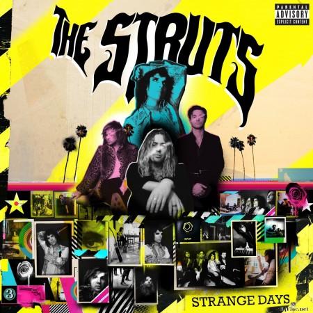 The Struts - Strange Days (2020) Hi-Res