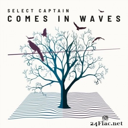 Select Captain - Comes in Waves (2020) Hi-Res