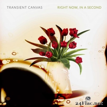 Transient Canvas - Right Now, in a Second (2020) Hi-Res