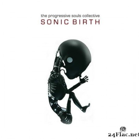 The Progressive Souls Collective - Sonic Birth (2020) [FLAC (tracks + .cue)]