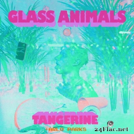 Glass Animals - Tangerine (Single) (2020) Hi-Res