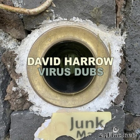 David Harrow - Virus Dubs (2020) Hi-Res