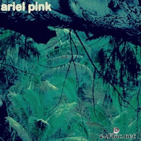 Ariel Pink - Burned Out Love (Single) (2020) Hi-Res