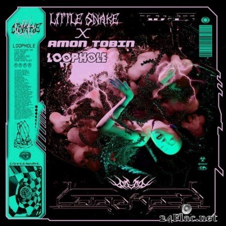 Little Snake and Amon Tobin - Loophole (Single) (2020) Hi-Res