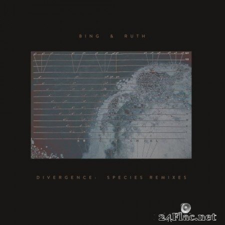 Bing & Ruth - Divergence: Species Remixes (2020) Hi-Res